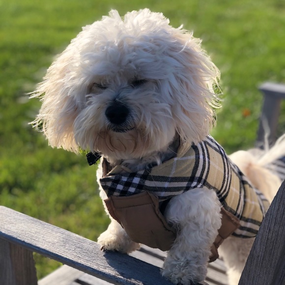 Meet your Posher, David - Picture 1 of 1